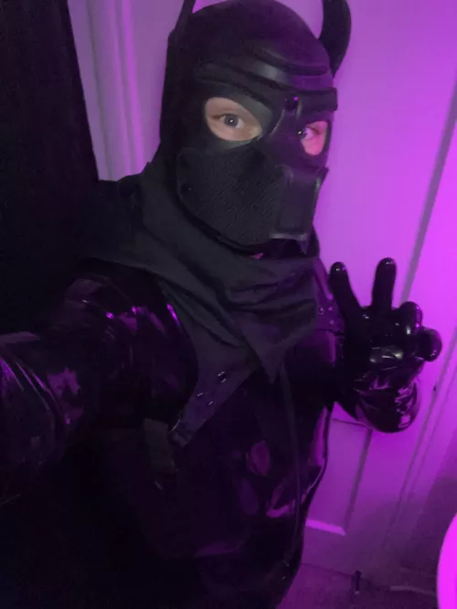 Hope you like a latex pup