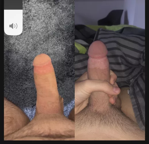 I think I won (right)