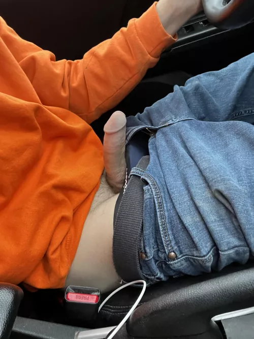 Jerking off on my ride home from work. 2 truck drivers gave me a thumbs up