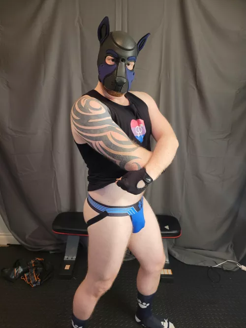 Just a Lil belly tease. 🐺😘