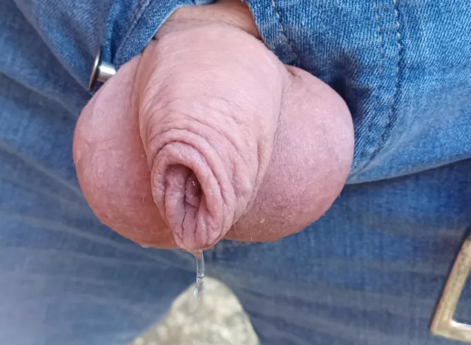 Looking straight at you