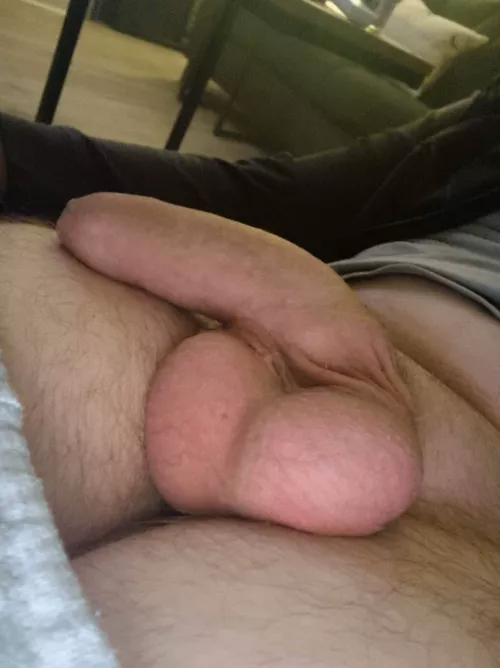 My balls need draining, open your mouth