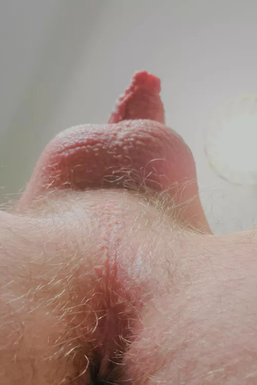 my fuzzy hole from below pov