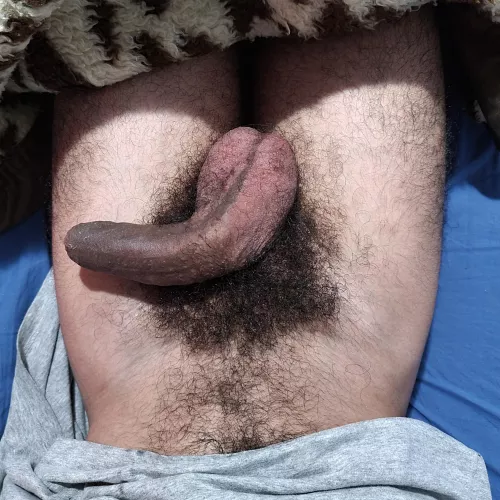 My hairy tool