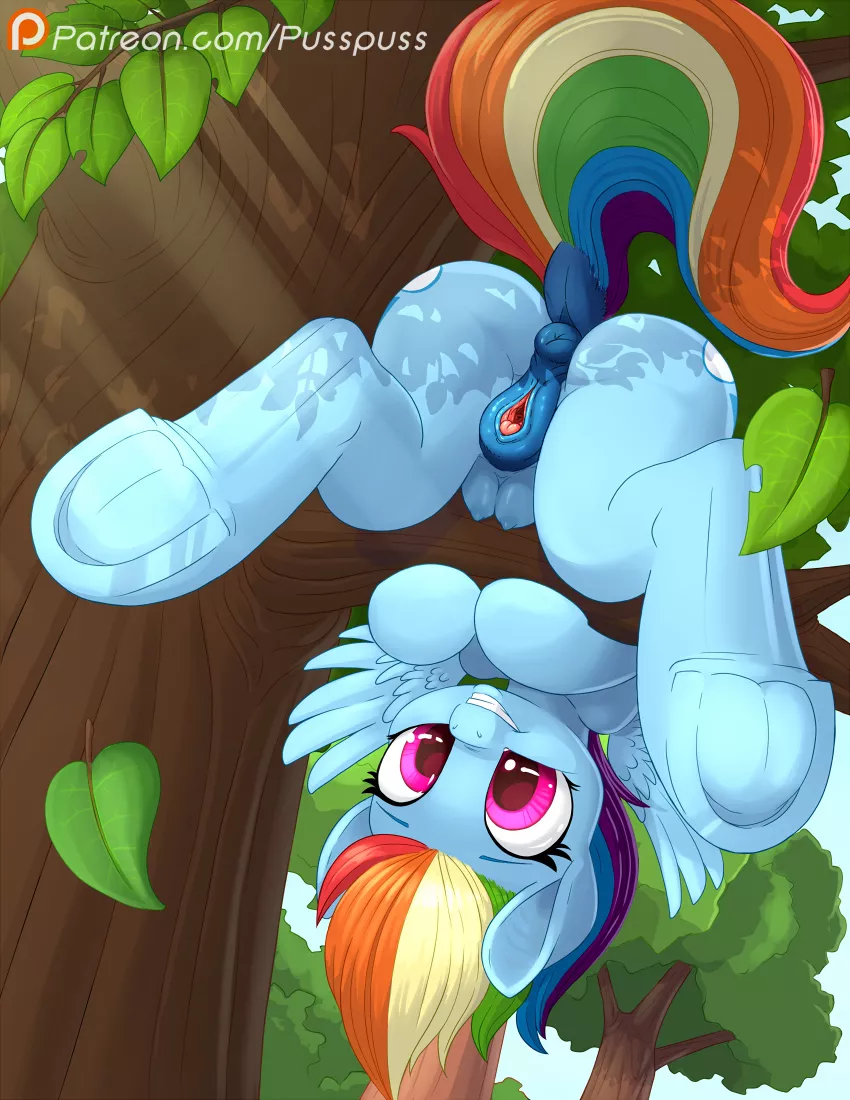 On a branch [F](Pusspuss)