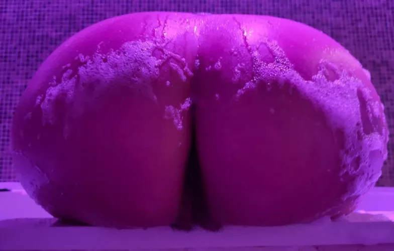 Perfect for your face