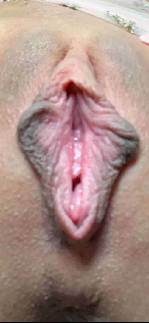 Pink wings dark outline