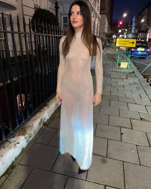 See thru - Sarah Kohan