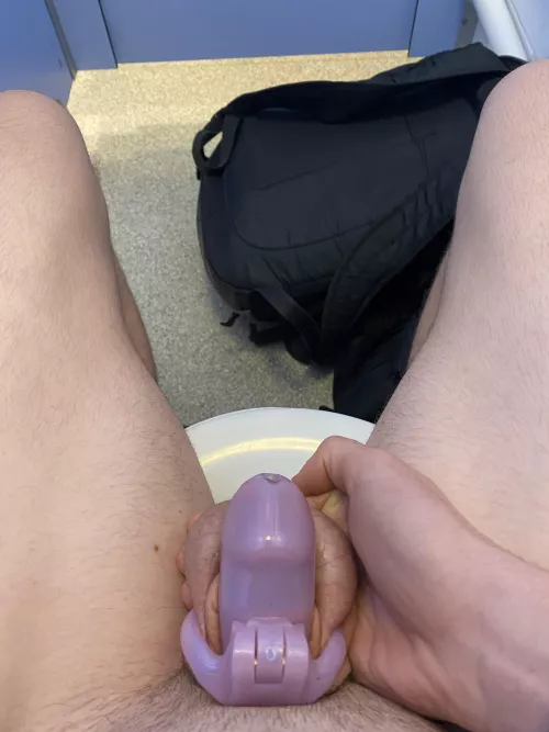 Sissy Lauren can go to college, but her clitty should remain locked, do u agree