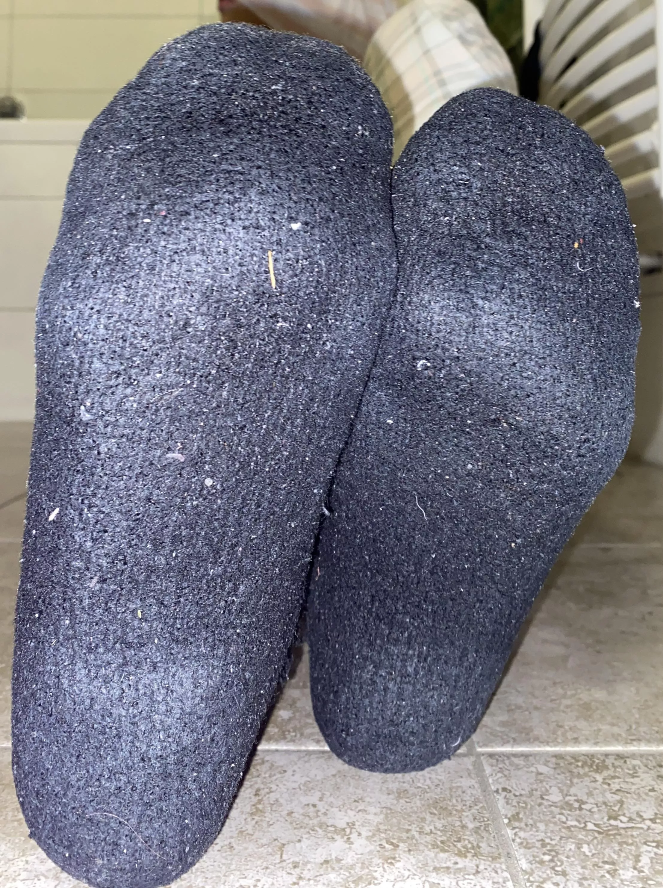 They used to be fluffy 🧦