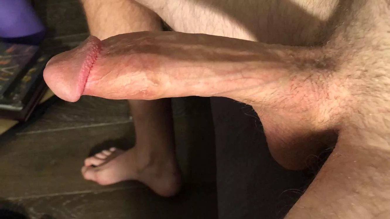 This cock is ready for a good fucking