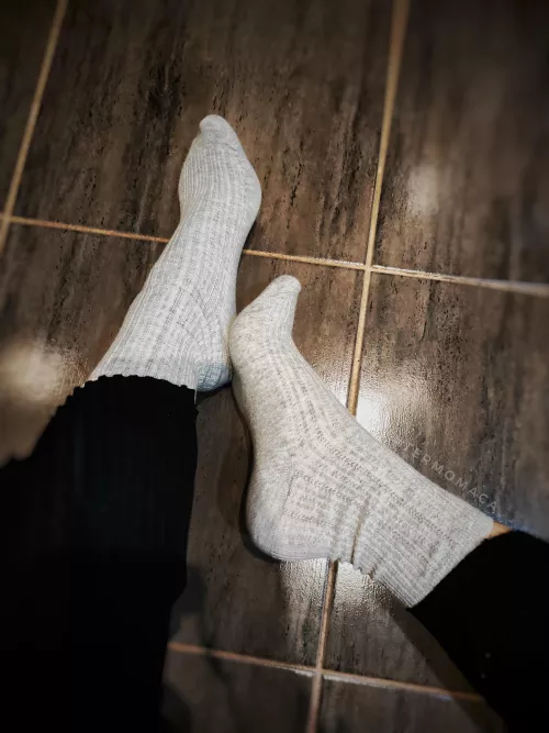 today socks 🤗