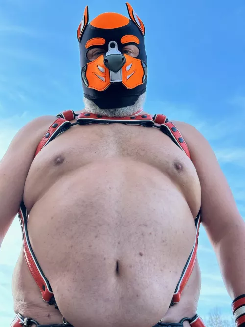 Tummy Tuesday - pup edition