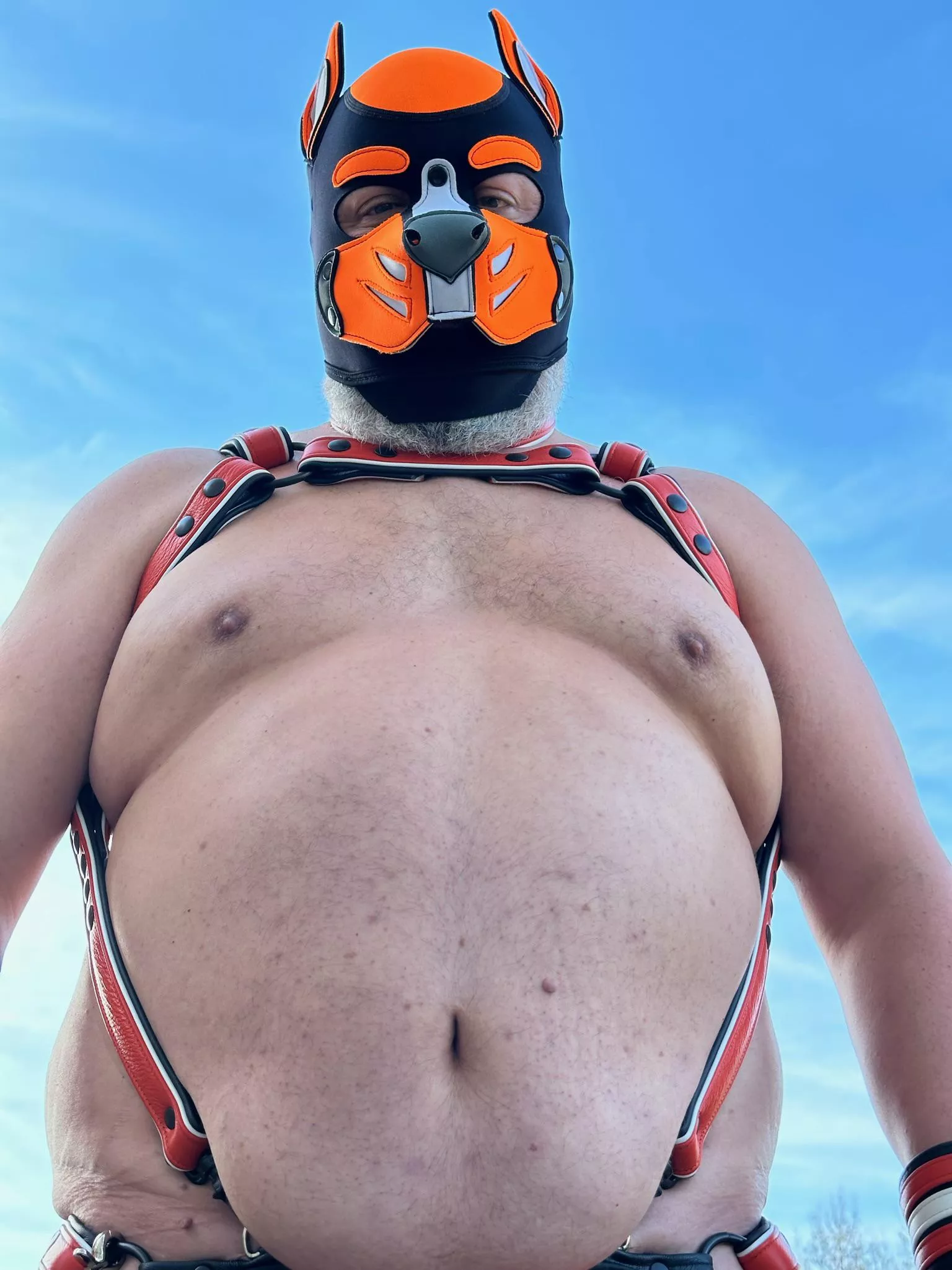 Tummy Tuesday - pup edition