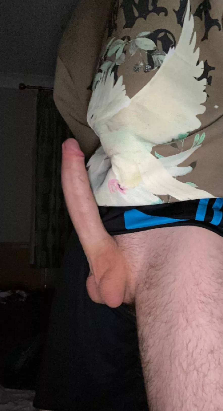 Turned 18 yesterday, whatcha think ?