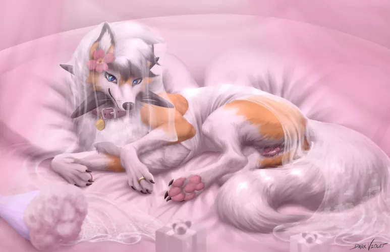 Wedding Night [F] (Dark_Violet)