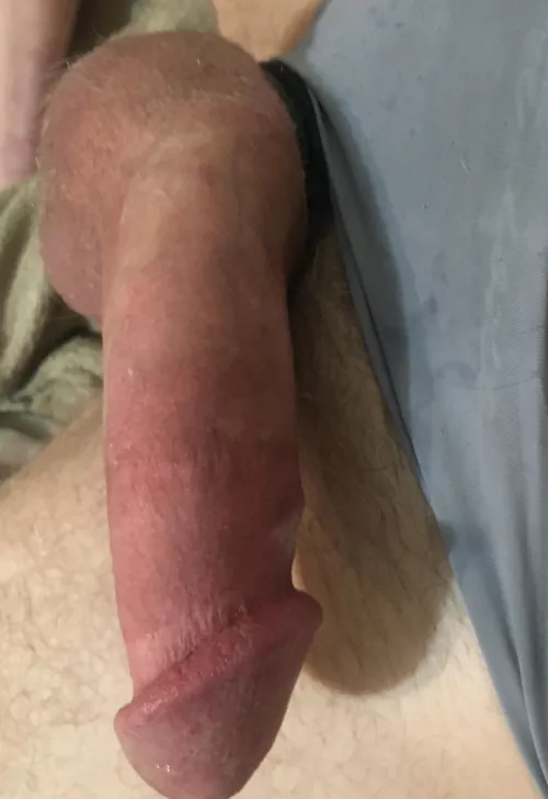 What panties do to me. Dm pics!