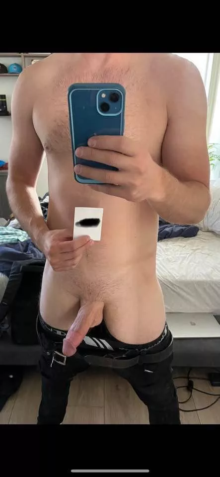 31 Hung good looking bull for Hotwife couple or single female