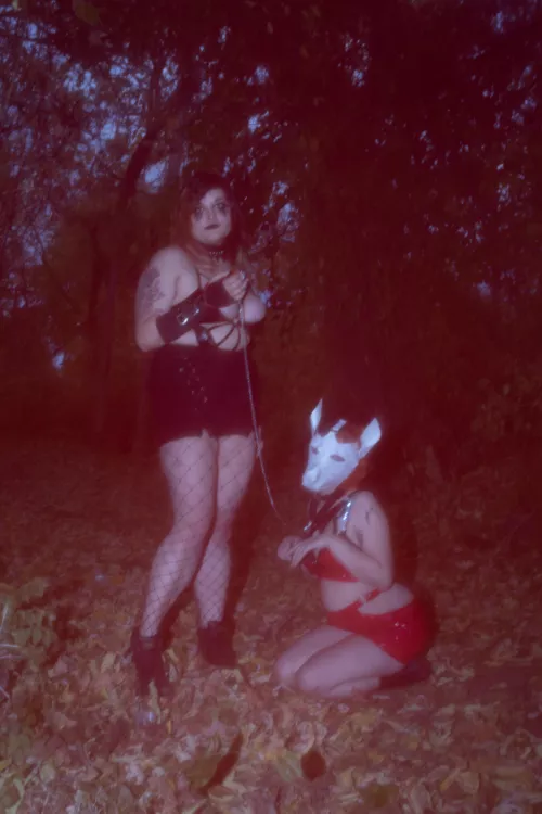 a Halloween themed puppy shoot I did a few weeks back 🥺