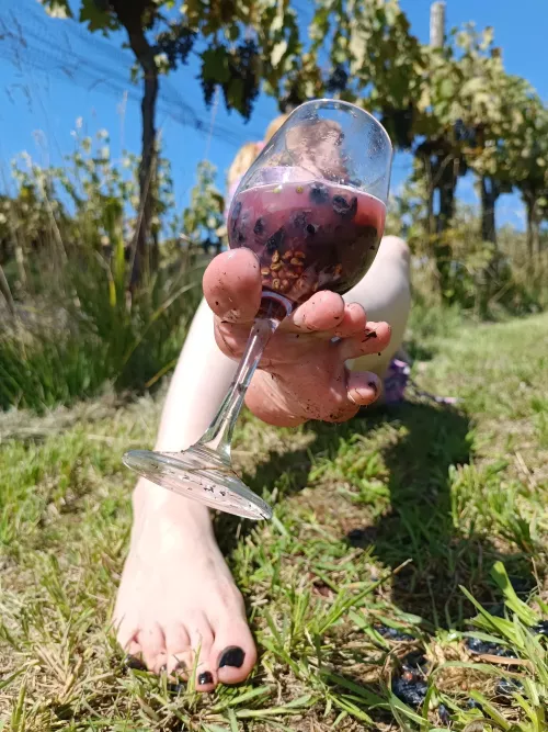 Any wine lovers here?