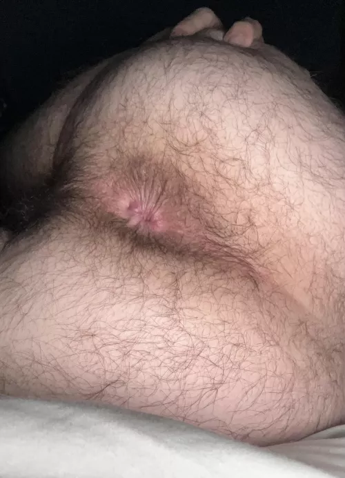 Anyone wanna breed my hairy ass?