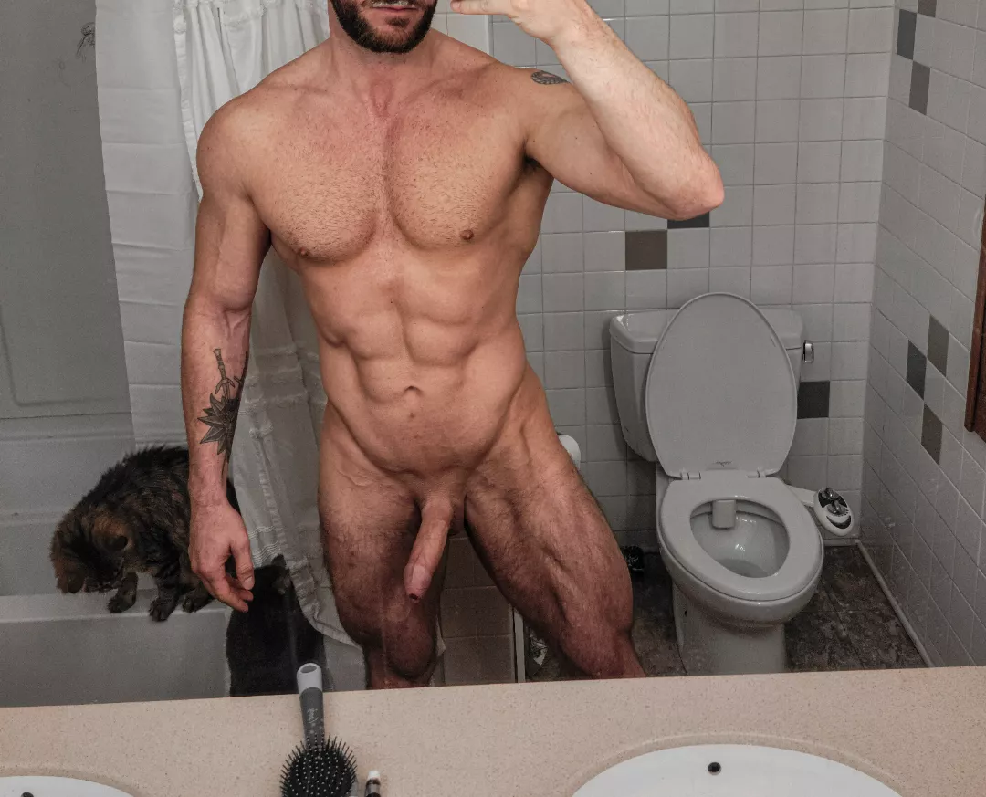 beard. boner. cat on the bathtub.