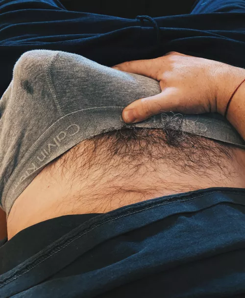 Calvins + precum