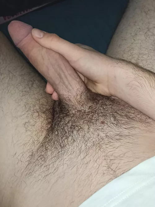 can anyone put me in my place?