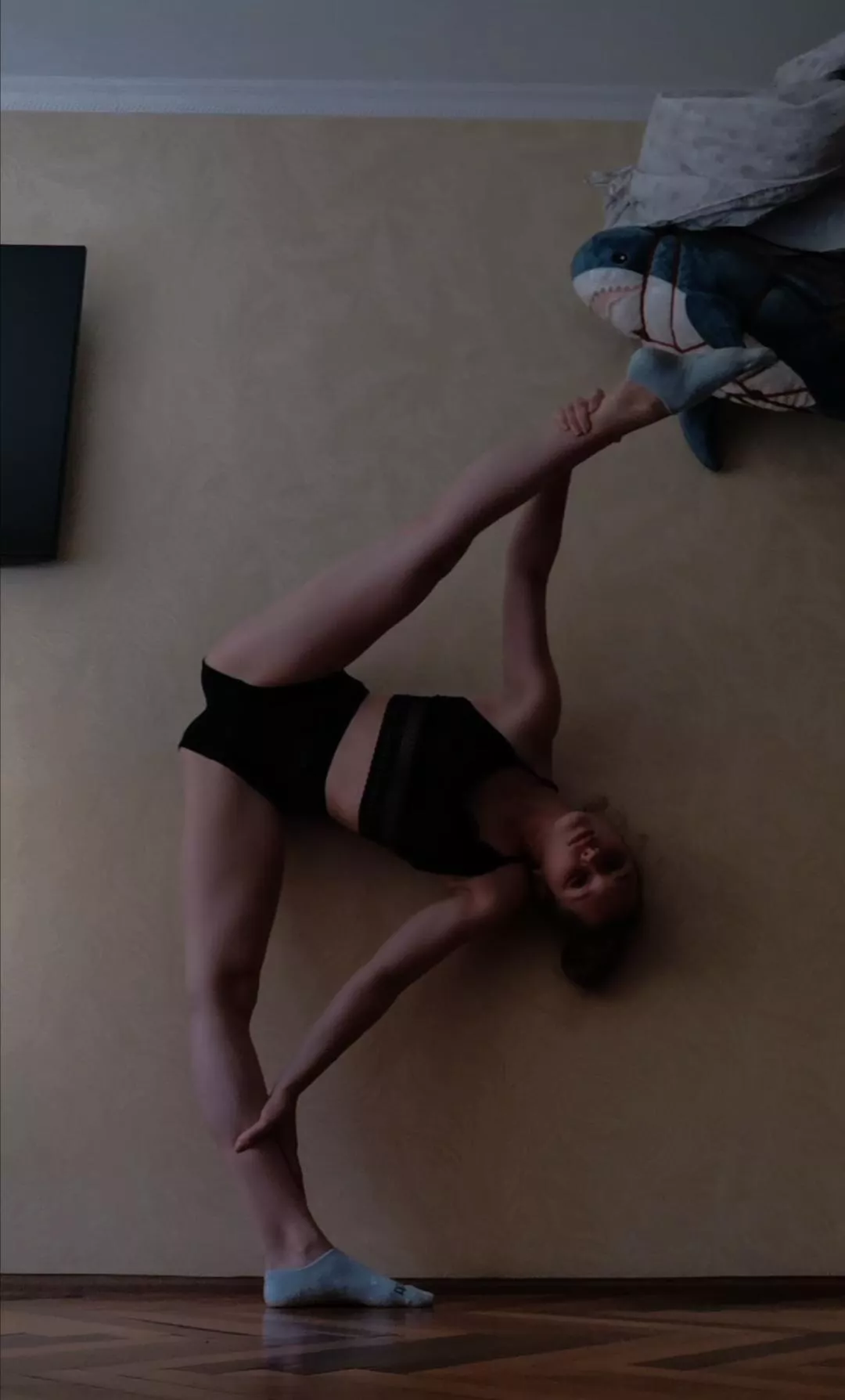 Can I take the place of the shark?