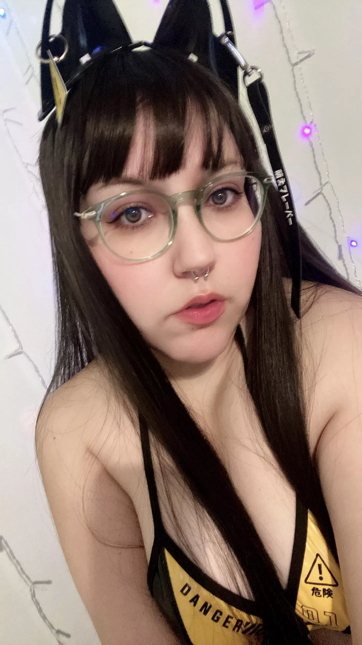 Can this kitty stay by your side?