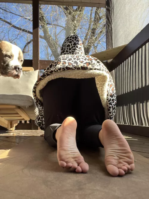 Chilly yoga session with Sterling