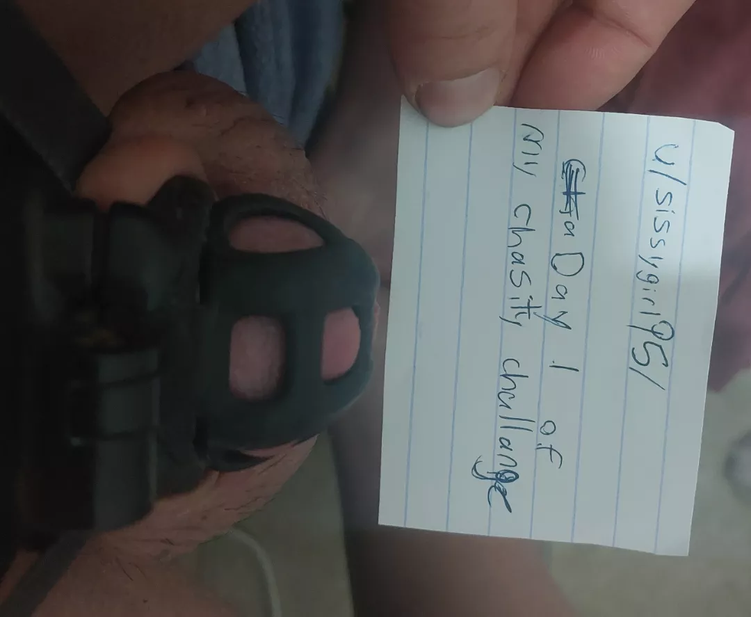 daily verification day 1 out ?