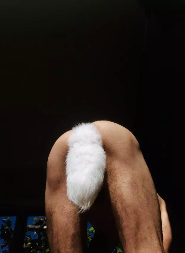 Finally got myself a tail