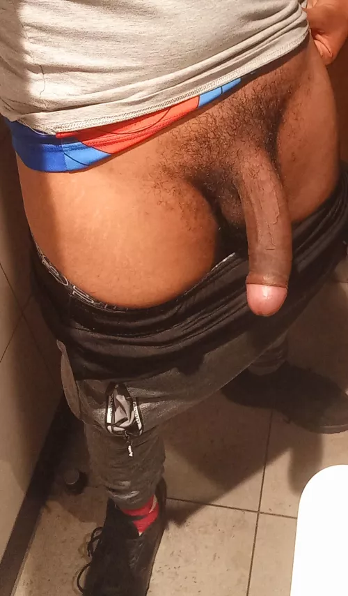 Had to let him out for some fresh air