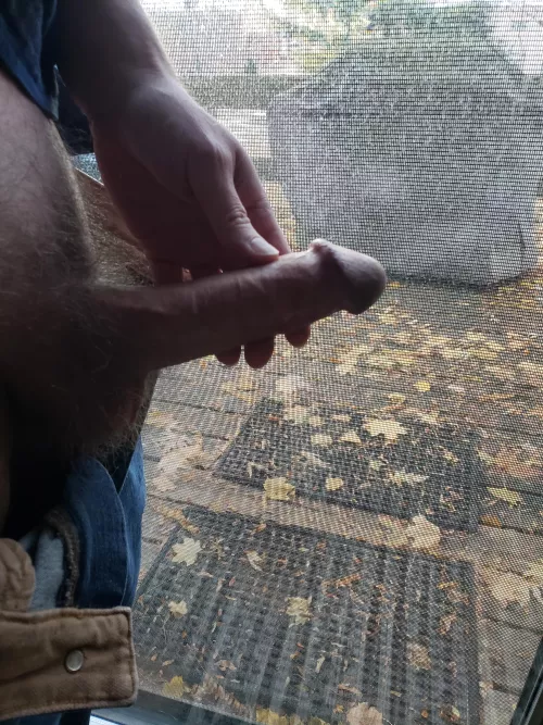 Hey thanks for coming over! [54]