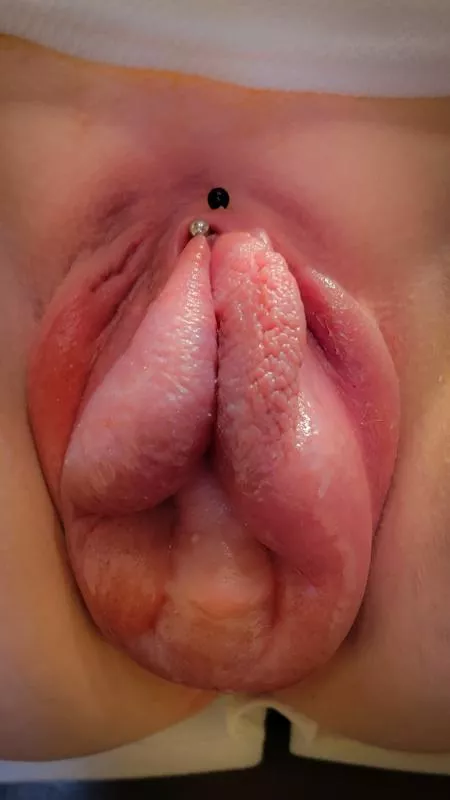 How About A Close-up For The Holiday.... Eat My Pussy Baby! [OC][F]