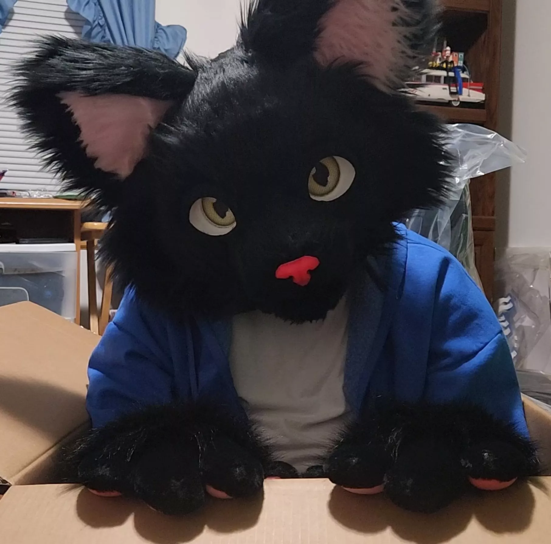 I got a cool box for my birthday!