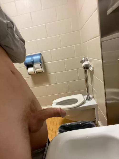 I love pulling my cock out in public bathrooms
