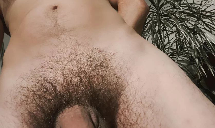 I think for first time in my life I love a bush