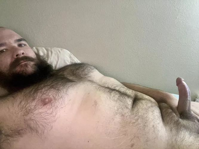 I’m curved for your riding pleasure