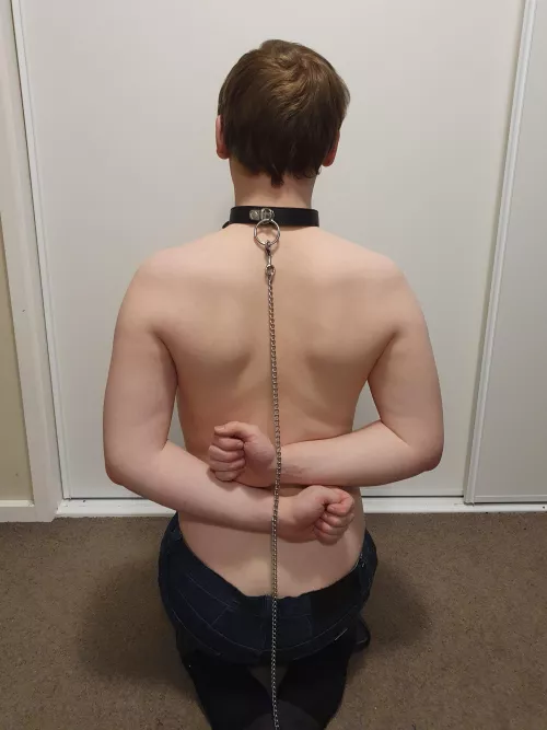 Leashed and waiting to be led