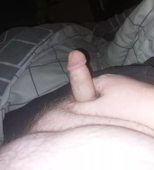 Love seeing all these amazing cocks