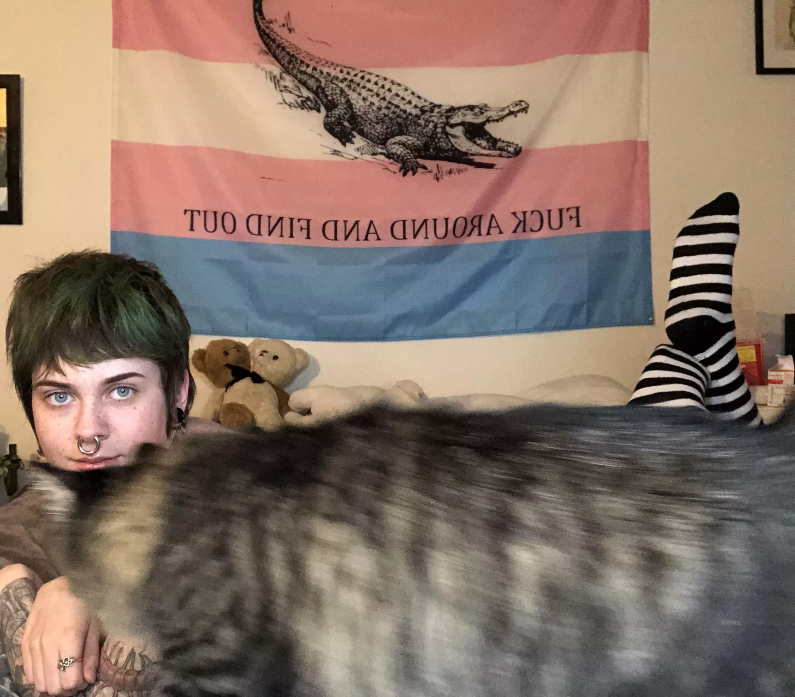 my cat messes up my pic BUT made the perfect little censor bar