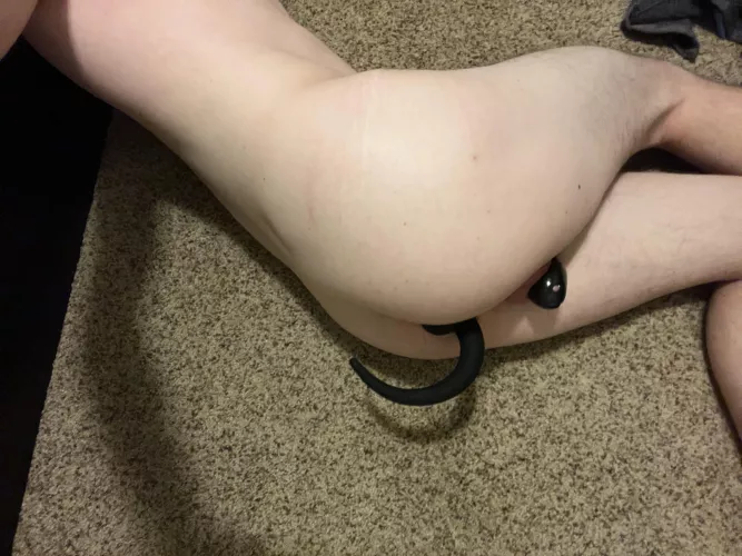 Pooch was getting antsy, had to lock them up