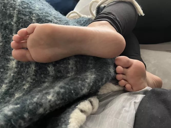 Soles on his lap 🥰