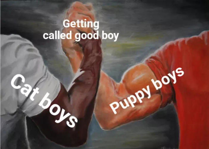something we can all agree on