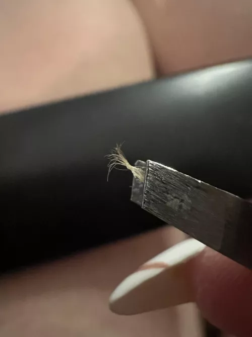 These freakin’ things I swear to god