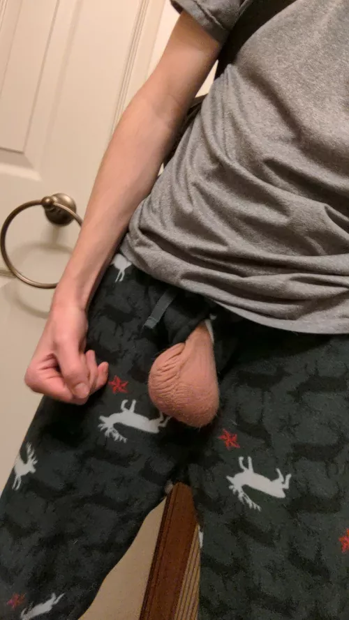 They came out to say hello