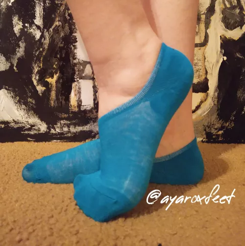 Thin blue no show socks, basic but fun (f)