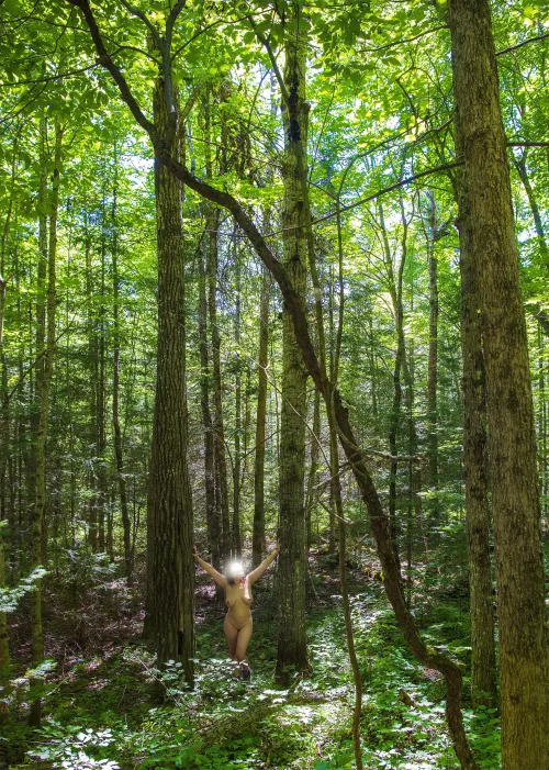 Thinking back to warmer days in the woods.